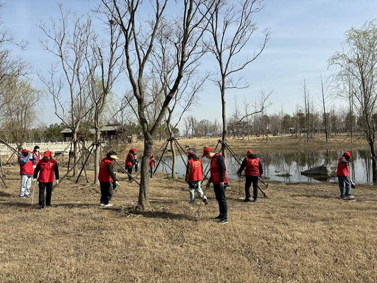 開展雷鋒月志愿服務(wù)活動(dòng)